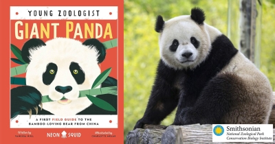 Young Zoologist Giant Panda Book Cover and photo of giant panda