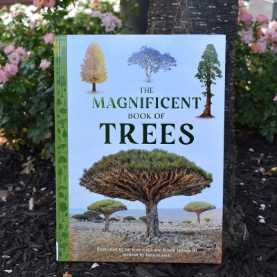 color photo of a book about trees sitting outside at the base of a tree with pink flowers in the background