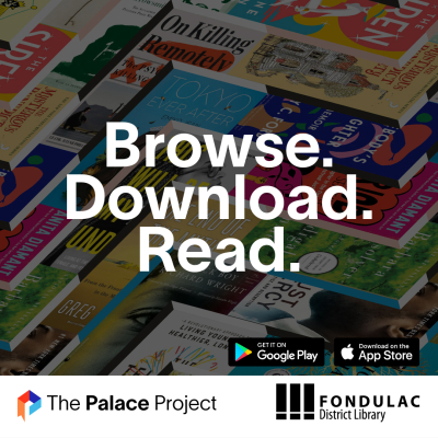 infographic featuring Palace Project logo and Fondulac District Library logo