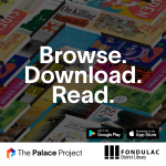 infographic featuring Palace Project logo and Fondulac District Library logo
