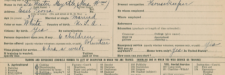 Screenshot of Registration Card for National Woman's Defense Council 1917