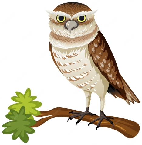illustration of brown and white owl sitting on a branch