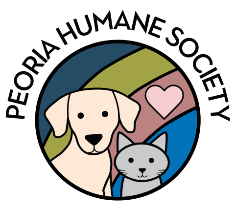 illustration of cat and dog inside a colorful circle heart over their heads